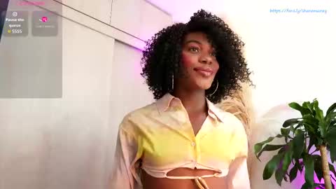 euphoricbunny online show from 15, 9, 2025