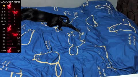 Snapshot of eva_zero chatting on 19, 1, 2025 Eva online show from 19, 1, 2025