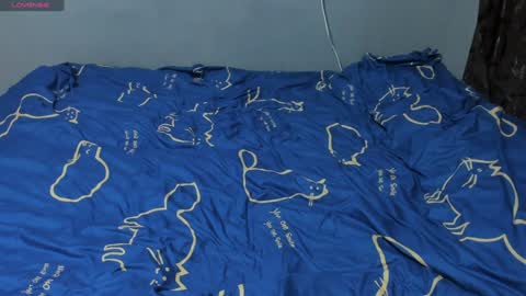 Snapshot of eva_zero chatting on 28, 1, 2025 Eva online show from 28, 1, 2025