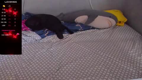 Snapshot of eva_zero chatting on 20, 2, 2025 Eva online show from 20, 2, 2025