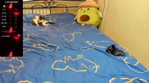 Snapshot of eva_zero chatting on 2, 11, 2025 Eva online show from 2, 11, 2025