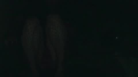 Snapshot of evermore8807 chatting on 14, 12, 2025 evermore8807 online show from 14, 12, 2025