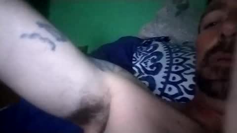 experttreecompany online show from 15, 2, 2026