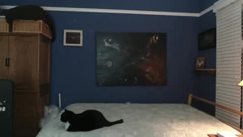 Tommy Rose online show from 26, 12, 2024