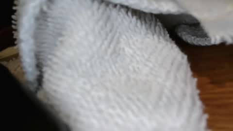 Snapshot of eyering chatting on 19, 1, 2025 eyering online show from 19, 1, 2025