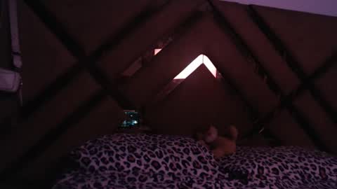 eyshaexotii online show from 18, 3, 2026