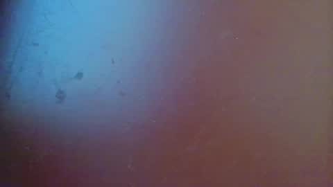 fabi online show from 19, 2, 2025