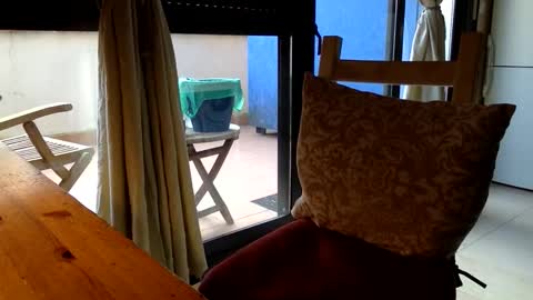 Fabro online show from 13, 3, 2026