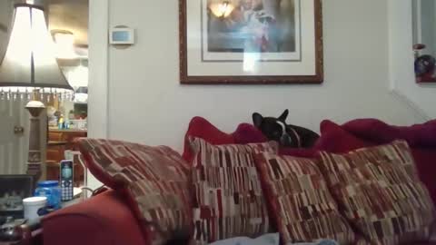 fairmount31 online show from 1, 11, 2025