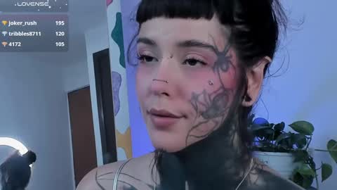 Fairy online show from 9, 3, 2025