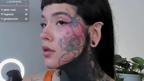 Fairy online show from 10, 3, 2025