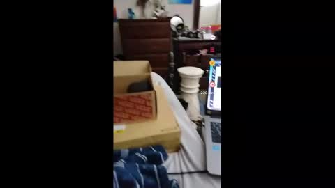 fallen_jezabel online show from 16, 11, 2025