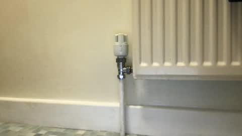 Snapshot of fantacyland chatting on 3, 12, 2024 Alex online show from 3, 12, 2024