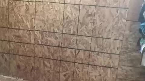 farrisshane1985 online show from 7, 4, 2026