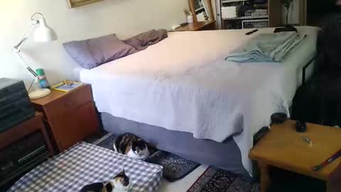 KingT online show from 19, 4, 2026