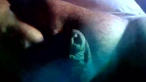 thiccDaddy online show from 9, 2, 2026