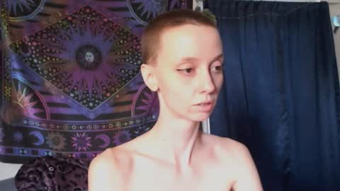Mossfairy online show from 12, 10, 2025