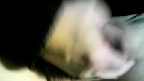 felicaste online show from 9, 2, 2025