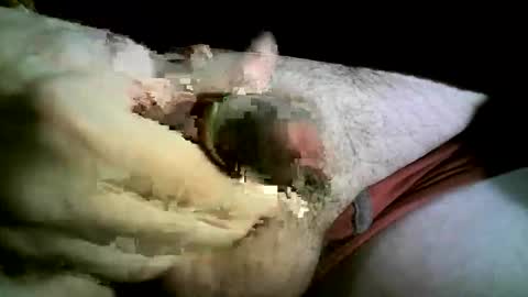 felicaste online show from 26, 11, 2025