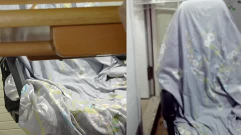 felixlau online show from 12, 12, 2024