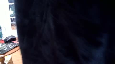 Snapshot of fellatioauto chatting on 7, 3, 2025 hungnsexy online show from 7, 3, 2025