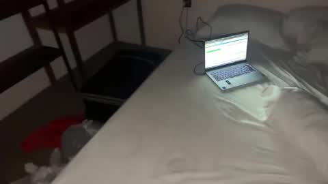 Snapshot of femboydanii chatting on 12, 11, 2025 Dani online show from 12, 11, 2025