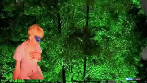 Daniani online show from 1, 3, 2026