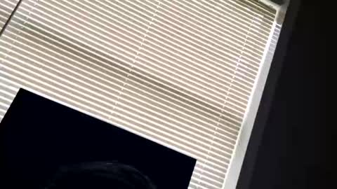 fer28639 online show from 24, 9, 2025