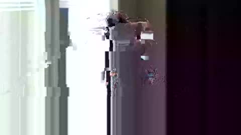 fer28639 online show from 11, 4, 2026