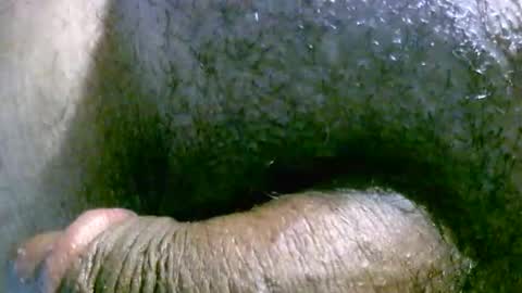 filedbc2024 online show from 9, 3, 2025