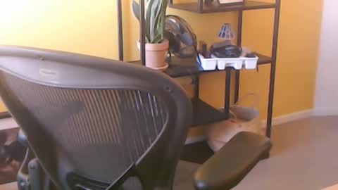 filip907 online show from 25, 9, 2025