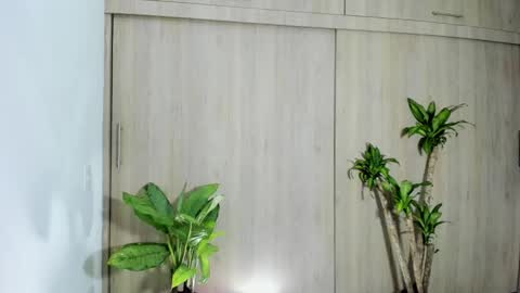 Snapshot of filletatouee chatting on 10, 11, 2025 filletatouee online show from 10, 11, 2025