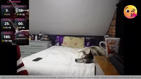 Fionna online show from 30, 3, 2026