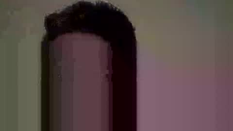Nate online show from 10, 6, 2026