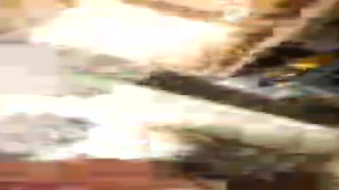 Nate online show from 24, 7, 2026