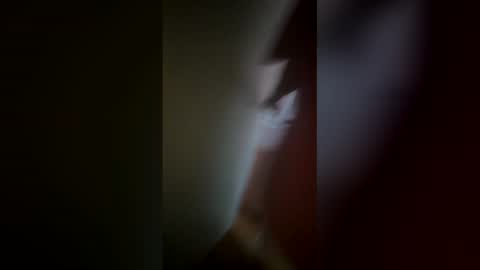 Ive Retired From Camming  online show from 12, 2, 2026