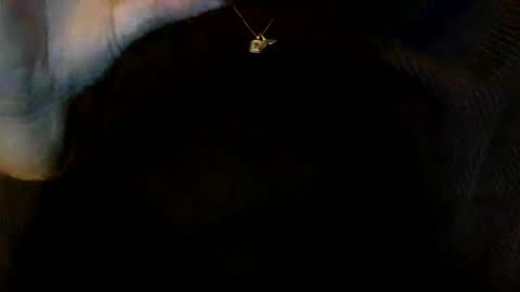 floraexploration online show from 23, 12, 2024