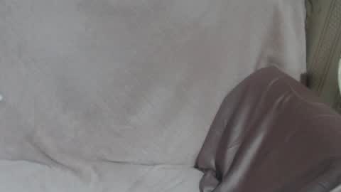 say meow and send tip  online show from 16, 3, 2026