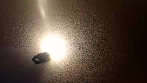 flyyguy69 online show from 11, 1, 2026