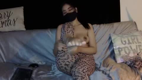 Snapshot of fogbunny chatting on 15, 12, 2024 Fogbunny online show from 15, 12, 2024