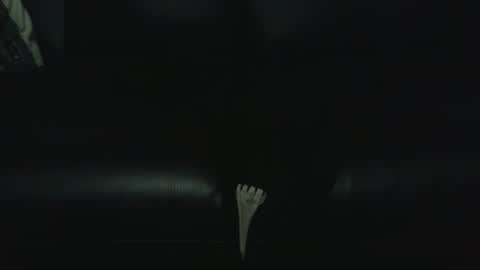 Snapshot of fonixxx69 chatting on 9, 1, 2026 fonixxx69 online show from 9, 1, 2026
