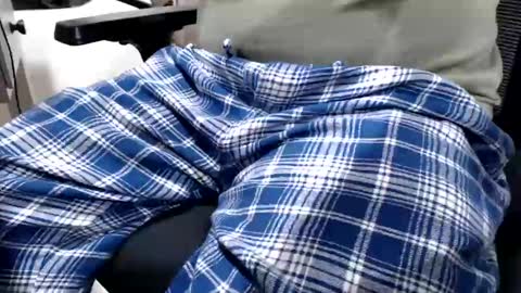 foster19422002 online show from 29, 1, 2025