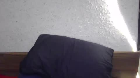 fox_red_lady7 online show from 18, 12, 2024