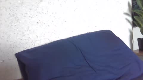 fox_red_lady7 online show from 8, 3, 2025