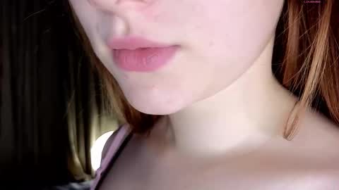 Petra online show from 1, 3, 2026