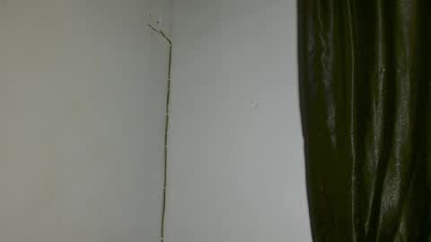 luna online show from 3, 4, 2026