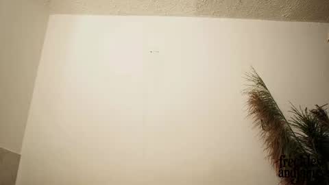 Snapshot of frecklesandjames chatting on 26, 6, 2026 frecklesandjames online show from 26, 6, 2026