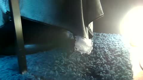 Snapshot of fredthetom12 chatting on 15, 2, 2025 Greedy Fred online show from 15, 2, 2025