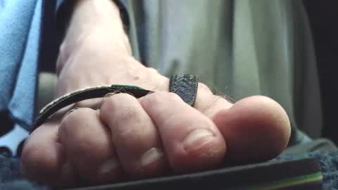 Greedy Fred online show from 26, 2, 2026