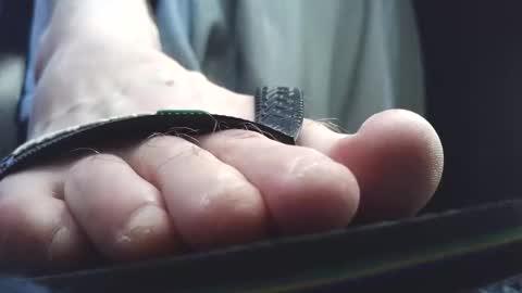 Greedy Fred online show from 10, 3, 2026